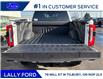 2026 Ford F-250 Platinum (Stk: LFFF01460) in Tilbury - Image 5 of 15
