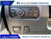 2026 Ford F-250 Platinum (Stk: LFFF01460) in Tilbury - Image 9 of 15