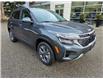2026 Kia Seltos EX (Stk: 55459) in Castlegar - Image 1 of 15