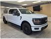 2025 Ford F-150 XLT (Stk: BA09955) in Shellbrook - Image 7 of 22