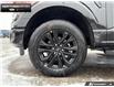 2026 Ford F-150 XLT (Stk: 6F129252) in Brantford - Image 6 of 22