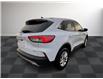 2022 Ford Escape SE (Stk: TL20760) in Windsor - Image 6 of 25