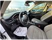 2022 Ford Escape SE (Stk: TL20760) in Windsor - Image 16 of 25