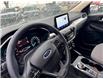 2020 Ford Escape SE (Stk: TR52138) in Windsor - Image 19 of 26