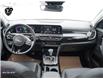 2025 Kia Seltos EX (Stk: KUR3194) in Kanata - Image 13 of 25