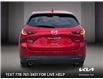 2024 Mazda CX-5 GS w/o CD (Stk: 9K2541) in Kamloops - Image 5 of 22