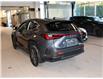 2026 Lexus NX 350h Base (Stk: 6958) in Kingston - Image 4 of 15