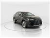 2026 Lexus NX 350h  (Stk: 15105392) in Richmond Hill - Image 1 of 21
