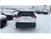 2025 Toyota RAV4 LE (Stk: 1356) in Kamloops - Image 4 of 20