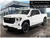 2023 GMC Sierra 1500 Elevation (Stk: AM6178) in Thunder Bay - Image 1 of 24