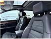 2020 Honda CR-V EX-L (Stk: 260216A) in Calgary - Image 6 of 19