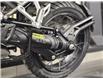 2026 Triumph TIGER1200 RALLY PRO DESERT EDITION (Stk: 26TS-014) in Grande Prairie - Image 8 of 13