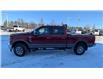 2019 Ford F-250 King Ranch (Stk: 2026-33A) in New Liskeard - Image 5 of 16