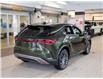 2023 Lexus RX 350 Base (Stk: PL25084) in Kingston - Image 7 of 15