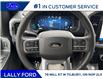 2025 Ford F-150 XLT (Stk: LFFF01116) in Tilbury - Image 12 of 16