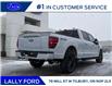 2025 Ford F-150 Lariat (Stk: LFFF01479) in Tilbury - Image 3 of 15