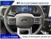 2025 Ford F-150 Lariat (Stk: LFFF01479) in Tilbury - Image 11 of 15