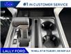 2025 Ford F-150 Platinum (Stk: LFFF01476) in Tilbury - Image 14 of 15