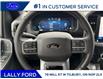2025 Ford F-150 XLT (Stk: LFFF01412) in Tilbury - Image 11 of 15