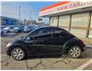 2010 Volkswagen New Beetle 2.5L Comfortline (Stk: 2512641) in Waterloo - Image 2 of 19