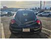 2010 Volkswagen New Beetle 2.5L Comfortline (Stk: 2512641) in Waterloo - Image 4 of 19