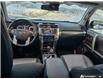 2024 Toyota 4Runner Base (Stk: 164341) in London - Image 24 of 26
