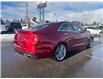 2024 Cadillac CT4 Premium Luxury (Stk: U9068A) in Uxbridge - Image 5 of 9