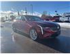 2024 Cadillac CT4 Premium Luxury (Stk: U9068A) in Uxbridge - Image 7 of 9