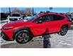 2024 Subaru Crosstrek Touring (Stk: 2105787A) in Whitby - Image 4 of 20