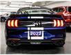 2020 Ford Mustang EcoBoost Fastback (Stk: 260132A) in North York, - Image 5 of 21