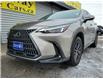 2024 Lexus NX NX 250 AWD (Stk: 6361) in St. Catharines - Image 3 of 26