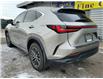 2024 Lexus NX NX 250 AWD (Stk: 6361) in St. Catharines - Image 4 of 26