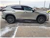 2024 Lexus NX NX 250 AWD (Stk: 6361) in St. Catharines - Image 24 of 26