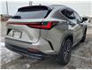 2024 Lexus NX NX 250 AWD (Stk: 6361) in St. Catharines - Image 25 of 26
