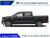 2025 Ford F-150 XLT (Stk: LFFF01521) in Tilbury - Image 3 of 13