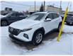 2024 Hyundai Tucson Preferred (Stk: 5B055A) in Chatham - Image 1 of 28