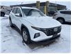 2024 Hyundai Tucson Preferred (Stk: 5B055A) in Chatham - Image 8 of 28