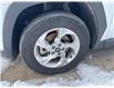 2024 Hyundai Tucson Preferred (Stk: 5B055A) in Chatham - Image 10 of 28