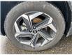 2024 Hyundai Tucson Hybrid Luxury (Stk: 5B054A) in Chatham - Image 11 of 30