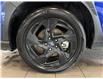 2025 Subaru Crosstrek Onyx (Stk: 250025) in Mississauga - Image 16 of 16