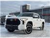 2026 Toyota Tundra SR (Stk: X369732) in Cranbrook - Image 1 of 19