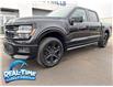 2025 Ford F-150 STX (Stk: 25335) in High River - Image 1 of 25