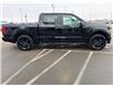 2025 Ford F-150 STX (Stk: 25335) in High River - Image 6 of 25