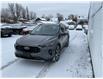 2024 Ford Escape Platinum (Stk: 251692) in Ottawa - Image 6 of 21