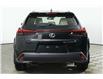2025 Lexus UX 300h  (Stk: 14111883) in Markham - Image 6 of 27
