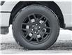 2024 Ford F-150 STX (Stk: P1012) in Mississauga - Image 6 of 29