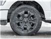 2023 Ford F-150 (Stk: P1011) in Mississauga - Image 6 of 34 2023 Ford F-150 (Stk: P1011) in Mississauga - Image 6 of 34