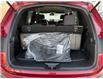 2024 Honda Pilot Sport (Stk: N15280A) in Ottawa - Image 10 of 18
