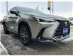 2024 Lexus NX NX 250 AWD (Stk: 6361) in St. Catharines - Image 2 of 26
