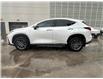 2025 Lexus NX 250 Base (Stk: M14909A) in Toronto - Image 5 of 24
